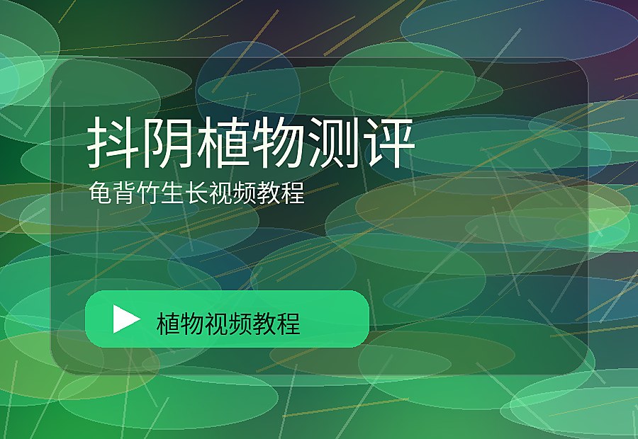 熟境花园