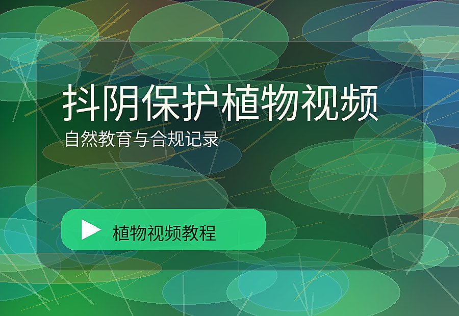 熟境花园